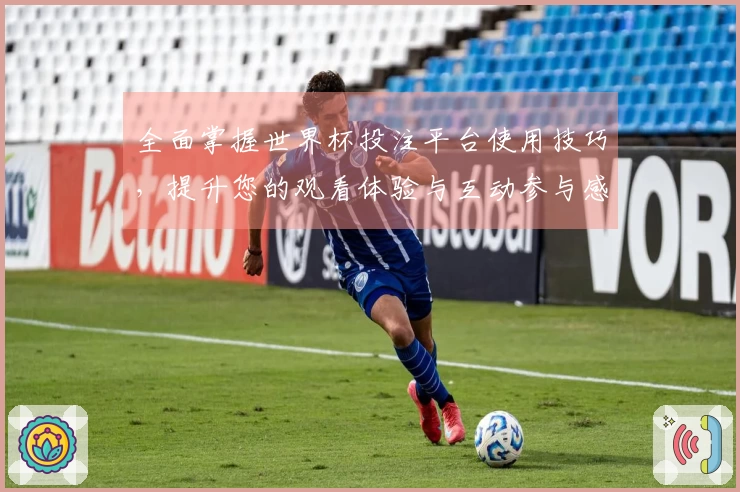 全面掌握世界杯投注平台使用技巧，提升您的观看体验与互动参与感