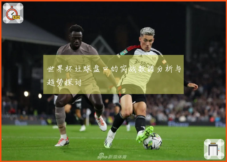 世界杯让球盘口的实战数据分析与趋势探讨