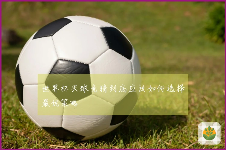世界杯买球竞猜到底应该如何选择最优策略