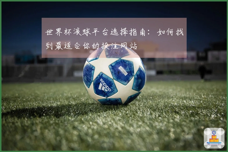 世界杯滚球平台选择指南：如何找到最适合你的投注网站