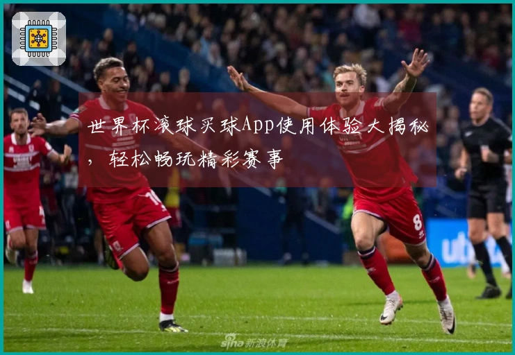 世界杯滚球买球App使用体验大揭秘，轻松畅玩精彩赛事
