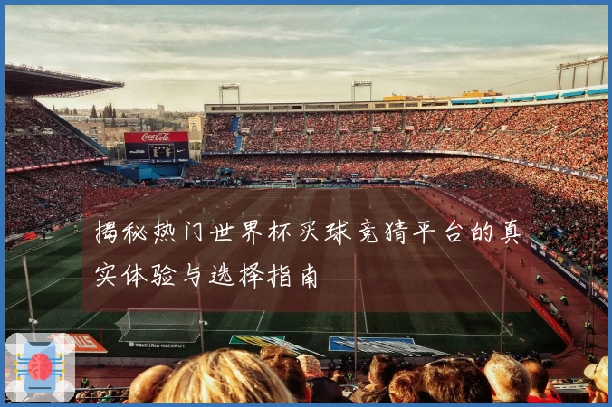 揭秘热门世界杯买球竞猜平台的真实体验与选择指南