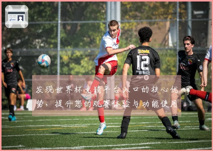 发现世界杯竞猜平台入口的核心优势，提升您的观赛体验与功能使用指南