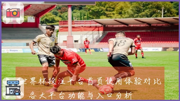 世界杯投注平台首页使用体验对比：各大平台功能与入口分析
