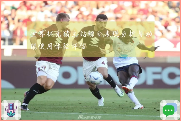 世界杯竞猜主站综合表现分析与功能使用体验评估