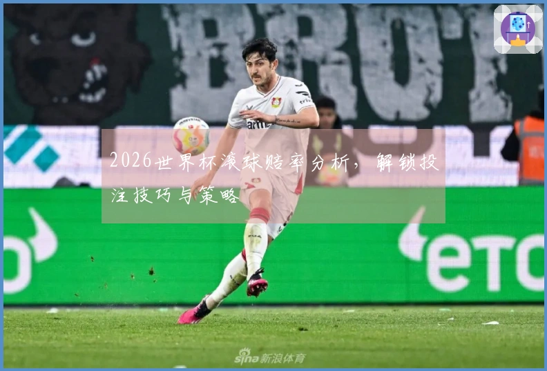 2026世界杯滚球赔率分析,解锁投注技巧与策略