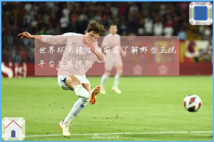 世界杯竞猜活动前需了解哪些正规平台及其规则