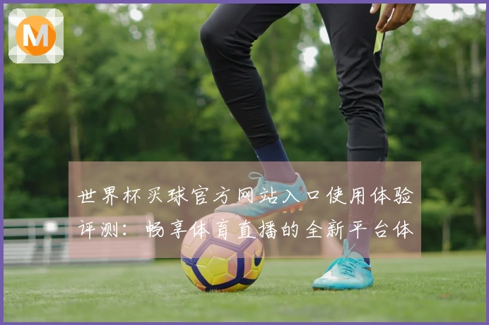 世界杯买球官方网站入口使用体验评测：畅享体育直播的全新平台体验