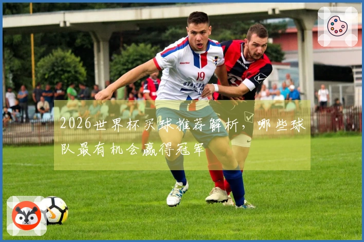 2026世界杯买球推荐解析，哪些球队最有机会赢得冠军