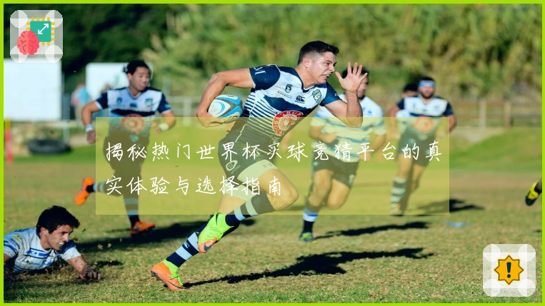 揭秘热门世界杯买球竞猜平台的真实体验与选择指南