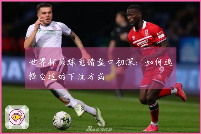 世界杯买球竞猜盘口初探，如何选择合适的下注方式