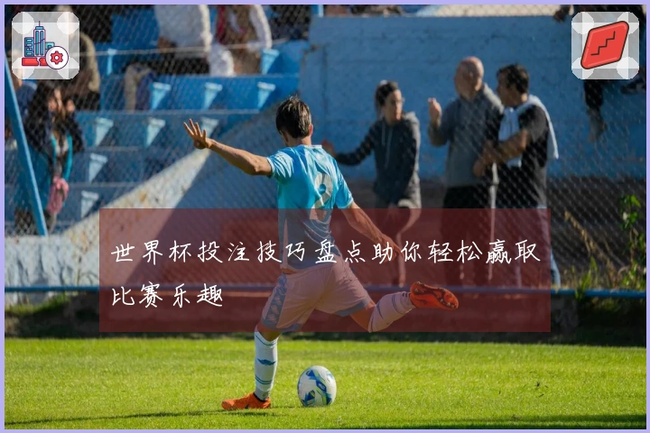 世界杯投注技巧盘点助你轻松赢取比赛乐趣