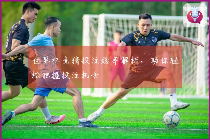 世界杯竞猜投注赔率解析，助你轻松把握投注机会