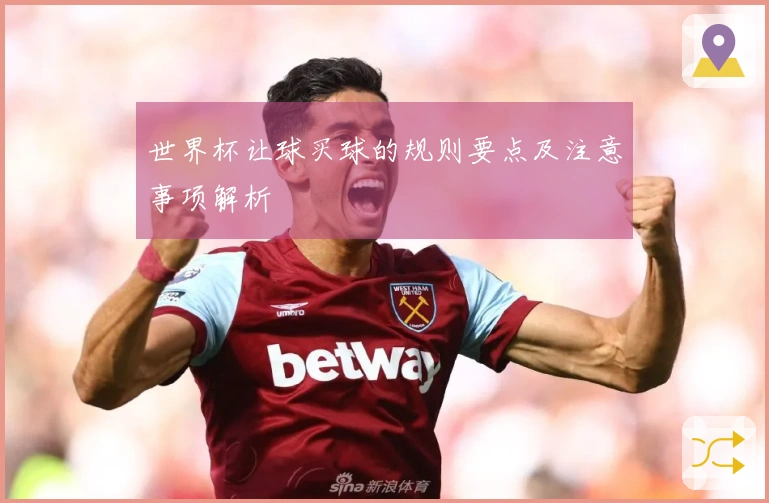 世界杯让球买球的规则要点及注意事项解析