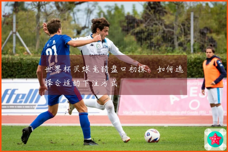 世界杯买球竞猜盘口初探，如何选择合适的下注方式